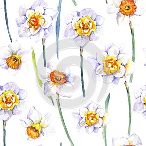 Watercolor narcissus seamless pattern on the white background