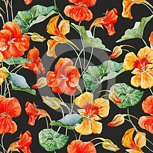 Watercolor nasturtium flower pattern