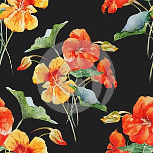 Watercolor nasturtium flower pattern