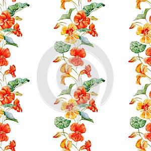 Watercolor nasturtium flower pattern