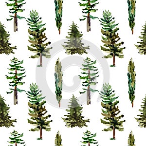 Watercolor natural forest seamless pattern of evegreen trees, Green tree texture