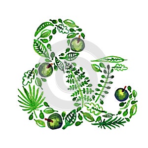 Watercolor nature vector green ampersand with leaves, apples and other plants (green).