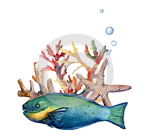 Watercolor nautical border with parrotfish. Hand painted underwater illustration with parrotfish, starfish, coral reef