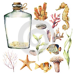 Watercolor nautical set with coral animals, plants and fish. Hand painted underwater branches, starfish, bottle isolated