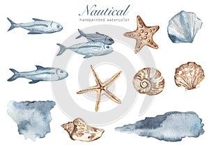 Watercolor nautical set with fishes, shells, starfish, watercolor blots