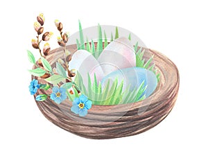 Watercolor nest with Easter eggs, willow, daffodils, forget-me-nots.Easter illustration with flowers