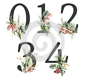 Watercolor numbers set of black 0, 1, 2, 3, 4 with wild flowers. Hand painted floral symbols isolated on white