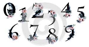 Watercolor numbers with splashes backgrounds flowers and black panthers. Romantic set for wedding invitations and card