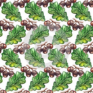 Watercolor oak green leaf acorn seed seamless pattern background texture