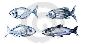 Watercolor ocean fish collection isolated on white background. Cute cartoon underwater animals illustration.