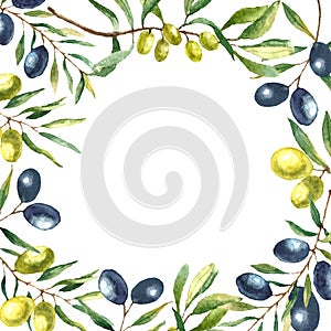 Watercolor olive branch background.