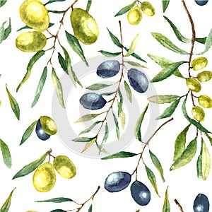 Watercolor olive branch background.