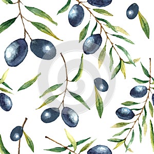 Watercolor olive branch background.