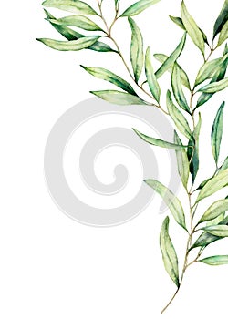 Watercolor olive branch card with leaves. Hand painted floral illustration isolated on white background for design