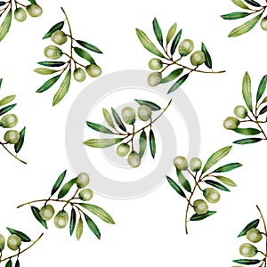 Watercolor olive branch isolated on white background.