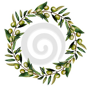 Watercolor olive branch isolated on white background.