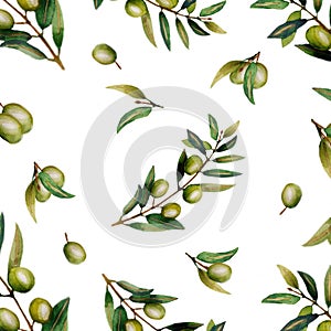 Watercolor olive branch isolated on white background.