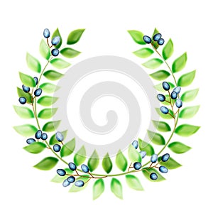 Watercolor olive branch wreath. Hand drawn natural vector frame.