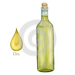 Watercolor olive oil Glass bottle and drop isolated on a white background. Green olives premium virgin oil illustration