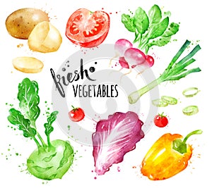 Watercolor ollection of fresh vegetables