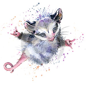 Watercolor opossum illustration. cute fashion Tee shirt design.