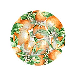 Watercolor orange branches with flowers. Hand drawn illustration is isolated on white. Round composition