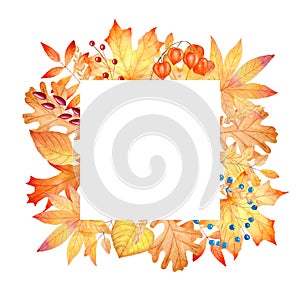 Watercolor orange fall leaves frame. Hand painted autumn illustration. Perfect for invitations.