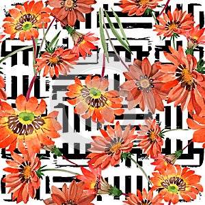 Watercolor orange gazania flowers. Floral botanical flower. Seamless background pattern.