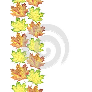Watercolor orange, green and yellowish autumn maple leaves, repeat vertical banner pattern on the white background