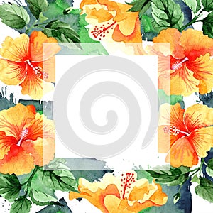 Watercolor orange naranja hibiscus flowers. Floral botanical flower. Frame border ornament square.