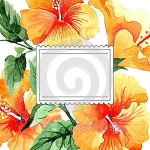 Watercolor orange naranja hibiscus flowers. Floral botanical flower. Frame border ornament square.