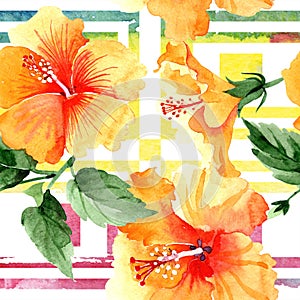 Watercolor orange naranja hibiscus flowers. Floral botanical flower. Seamless background pattern.