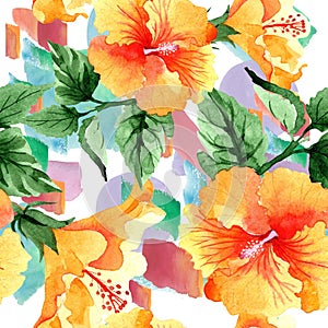 Watercolor orange naranja hibiscus flowers. Floral botanical flower. Seamless background pattern.