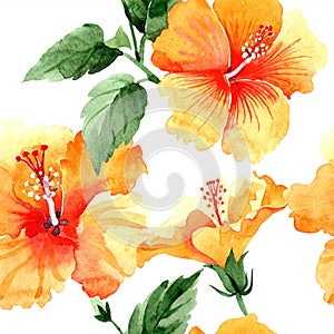 Watercolor orange naranja hibiscus flowers. Floral botanical flower. Seamless background pattern.