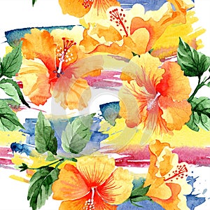 Watercolor orange naranja hibiscus flowers. Floral botanical flower. Seamless background pattern.
