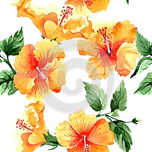 Watercolor orange naranja hibiscus flowers. Floral botanical flower. Seamless background pattern.