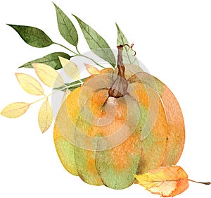 Watercolor orange pumpkin decorated with fall leaves isolated on the white background. Thankgiving illustration.