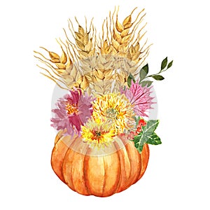Watercolor orange pumpkin, yellow mums flowers, wheat sheaf, leaves, red berries. Autumn holiday decorating