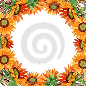 Watercolor orange sunflower flower. Floral botanical flower. Frame border ornament square.