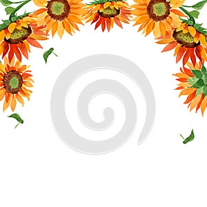 Watercolor orange sunflower flower. Floral botanical flower. Frame border ornament square.