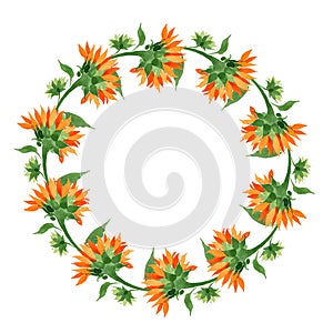 Watercolor orange sunflower flower. Floral botanical flower. Frame border ornament square.