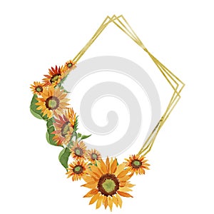 Watercolor orange sunflower flower. Floral botanical flower. Frame border ornament square.