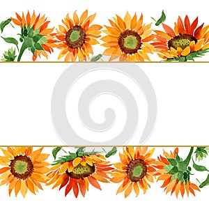 Watercolor orange sunflower flower. Floral botanical flower. Frame border ornament square.