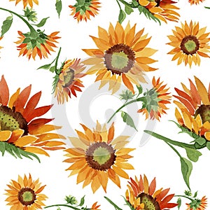 Watercolor orange sunflower flower. Floral botanical flower. Seamless background pattern.