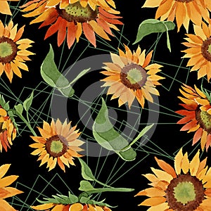 Watercolor orange sunflower flower. Floral botanical flower. Seamless background pattern.