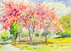 watercolor original landscape painting pink color of wild himalayan cherry tree flowers in sky and cloud background