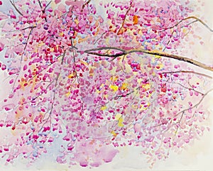 Watercolor original landscape painting red,pink color of Wild Himalayan Cherry flower