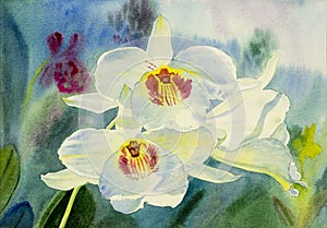 Watercolor original painting white color of beauty orchid flower