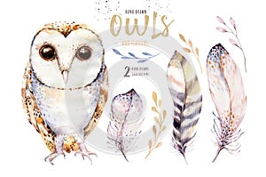 Watercolor owl with flowers and feather. Hand drawn isolated owls illustration with bird in boho style. Nursery