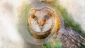Watercolor owl isolated on white background. Hand drawn watercolor owl perfect for design greating card or print